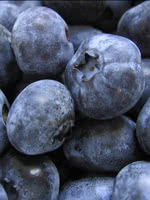 Top Hat Blueberry