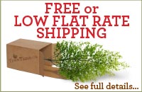 click here to see if your order qualifies for free shipping